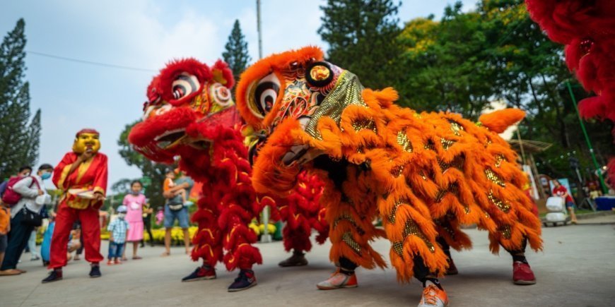 Människor i lejondräkter dansar under Tet-festivalen i Vietnam