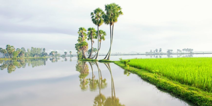 Mekong flodlandskap