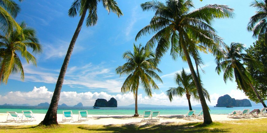 Stranden Thailand Palmer