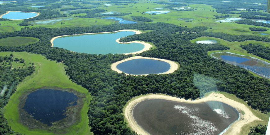 Flygbild av naturområden i Brasilien Pantanal 